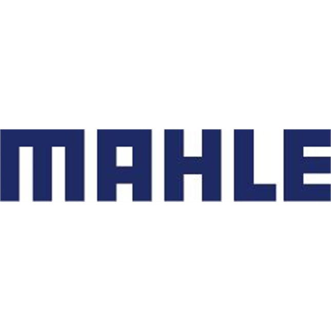 MAHLE Bearing Kit DUB Wide - MH41010420009000 - Aerolux
